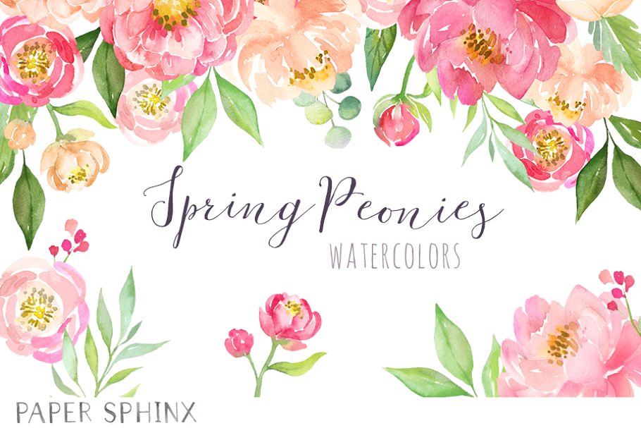 Download Watercolor Flower Peonies Clipart