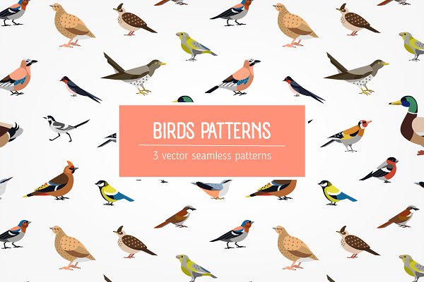 Download Birds seamless patterns set