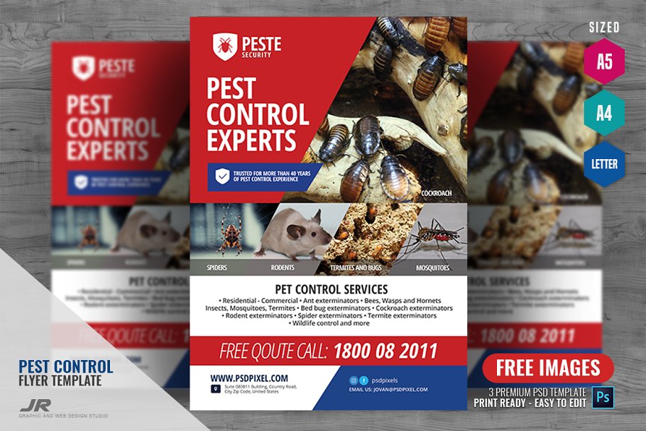 Download Pest Advertisement Flyer