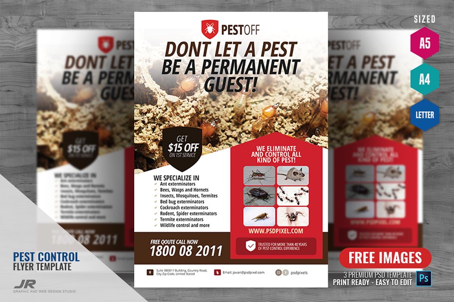Download Pest and Insect Control Flyer