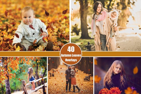 Download 40 Autumn Leaves Overlays