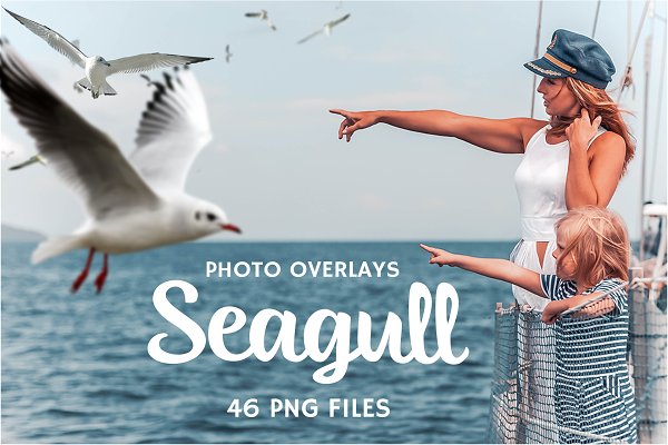 Download 46 Seagull Photo Overlays