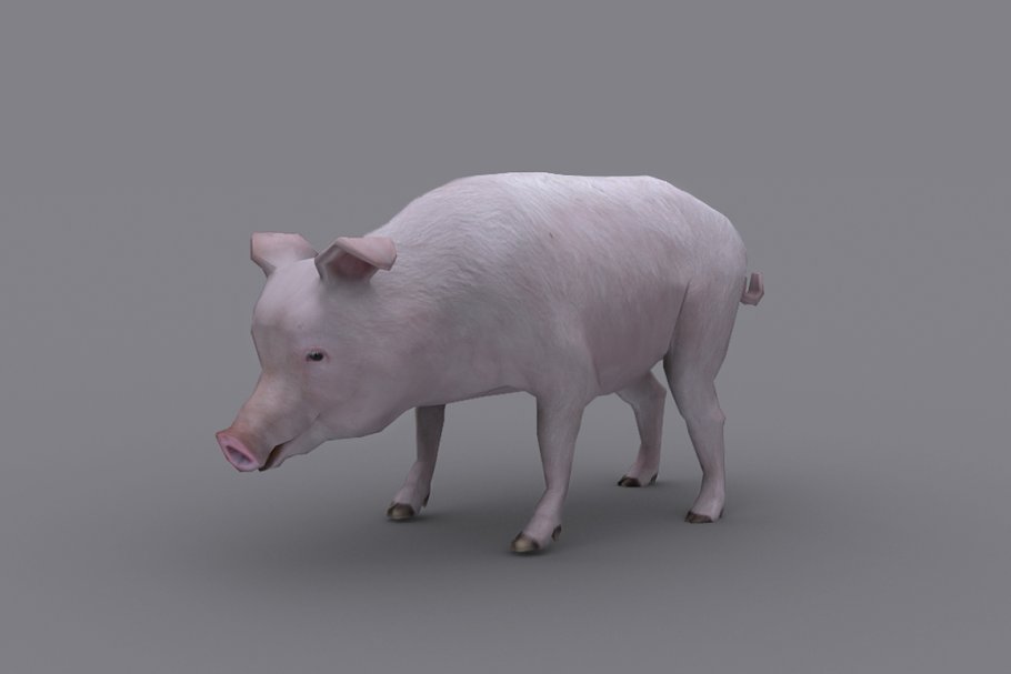 Download PIG with Native File