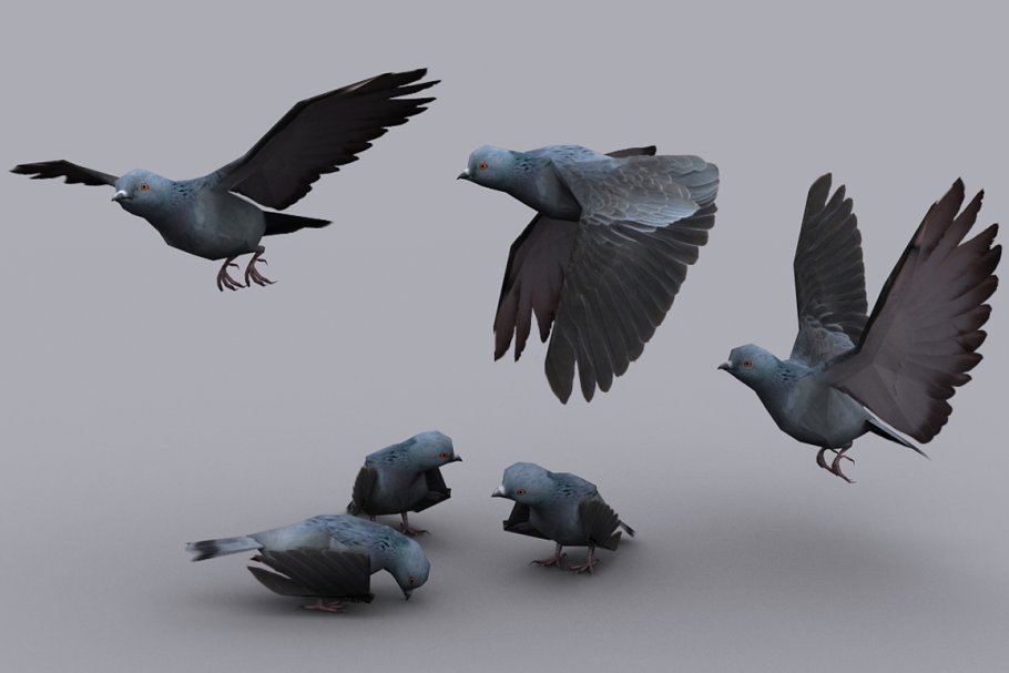 Download PIGEON fbx only