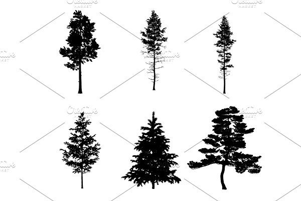 Download Pine Tree Photoshop Brushes