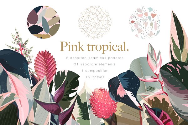 Download Pink tropical frames and patterns