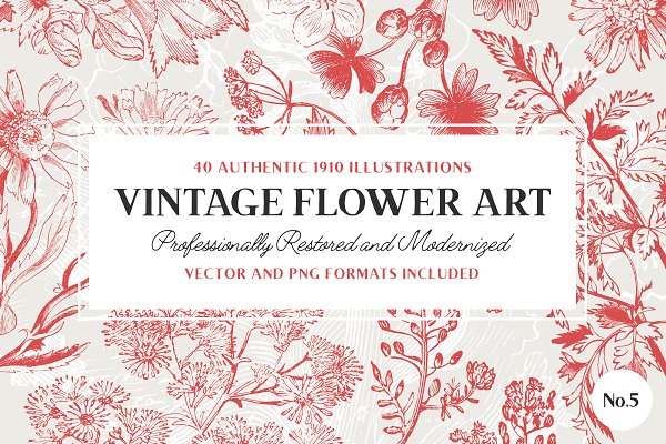 Download 40 Plant & Flower Illustrations No.5
