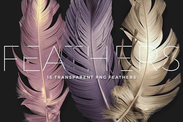 Download Transparent PNG Feathers Pack