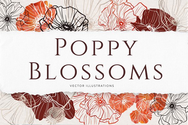 Download Poppy Blossoms Vector Illustrations