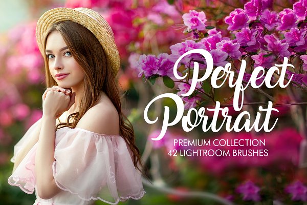 Download Perfect Portrait Lightroom Brushes
