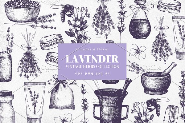Download Hand Drawn Lavender Illustrations