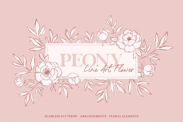 Download Peony - Line Art Flower
