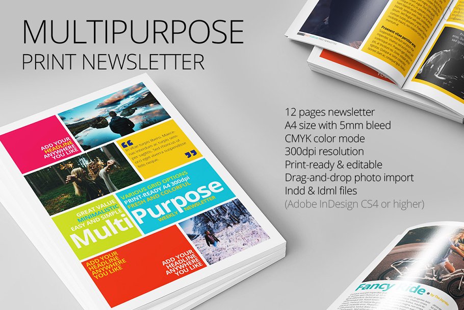 Download Multipurpose Print Newsletter