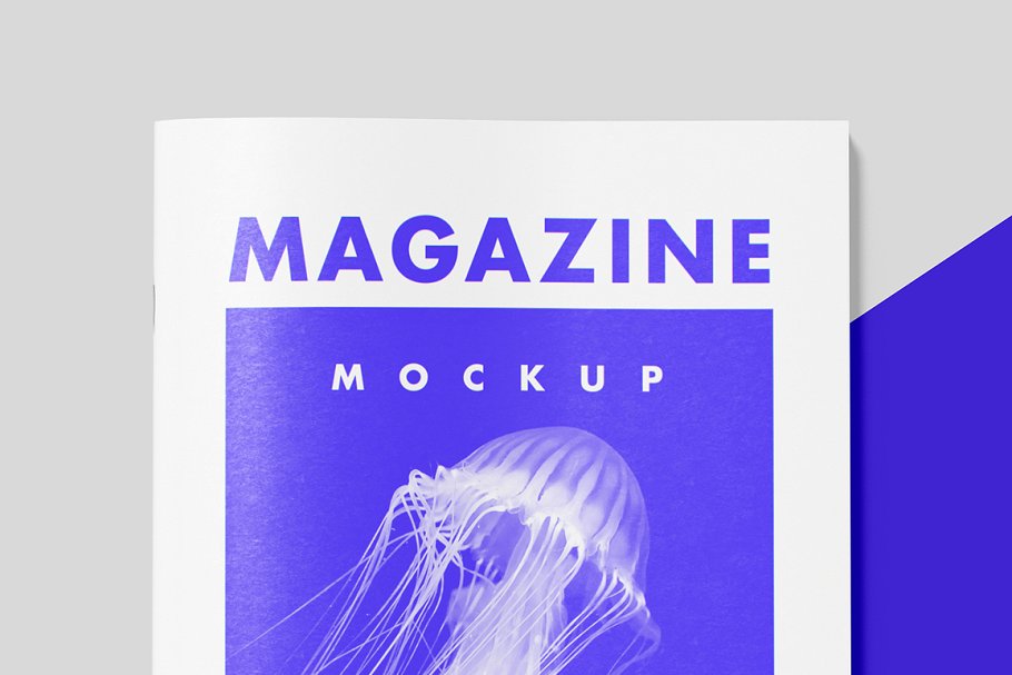 Download US Magazine Mockup