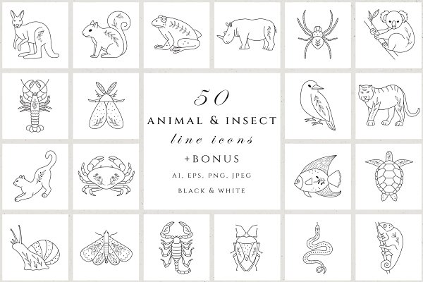 Download Animal & insect icon set. Patterns