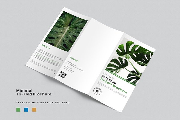 Download Minimal Tri-Fold Brochure Template