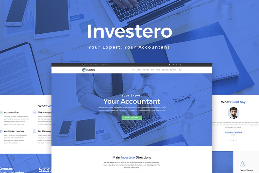 Download Investero - Accountant Expert