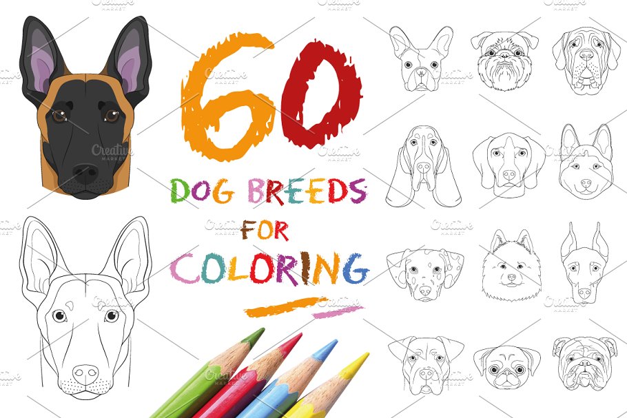 Download 60x Dog Breeds for Coloring