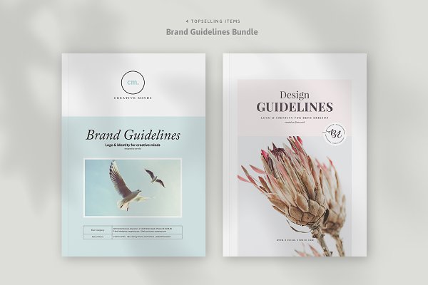 Download Brand Guidelines Bundle