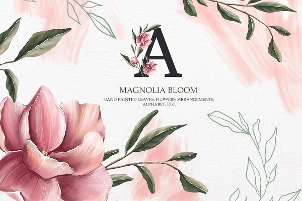 Download Magnolia bloom Collection
