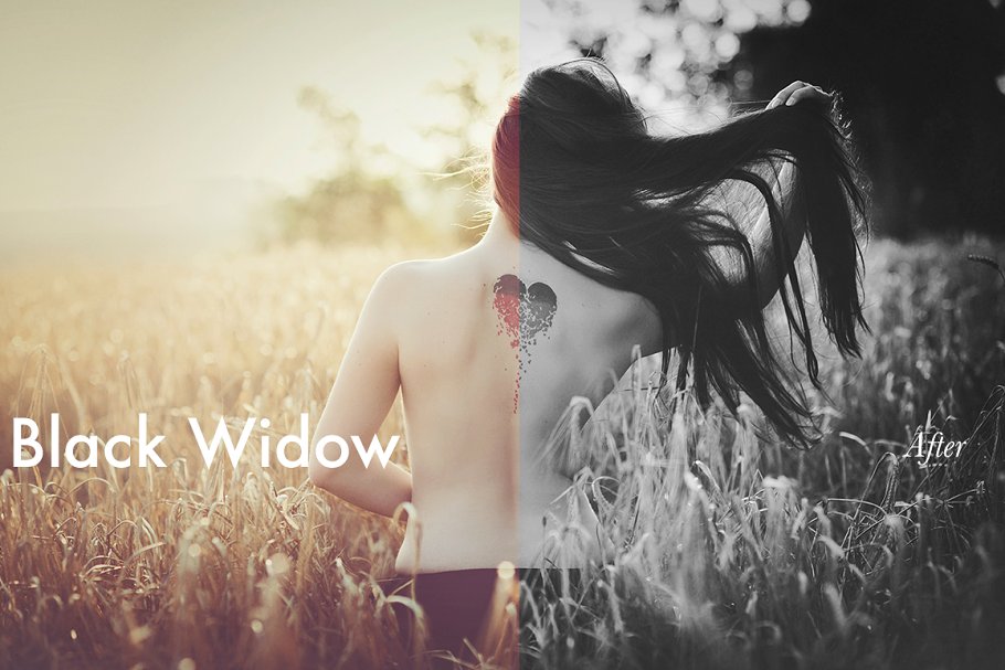 Download Black Widow - Lightroom Preset