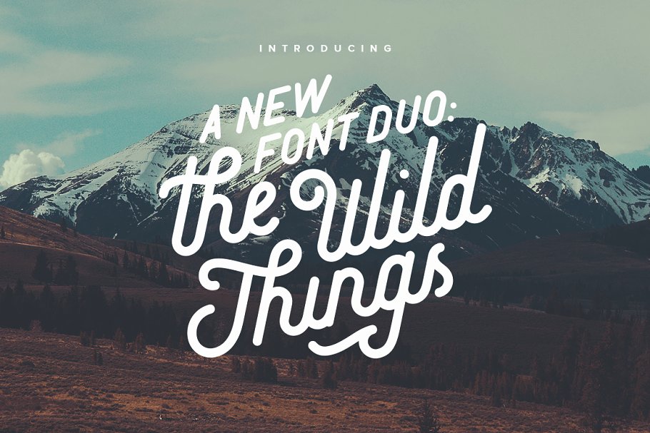 Download The Wild Things