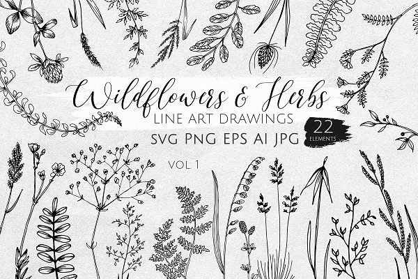 Download Wildflowers & Herbs. Line art