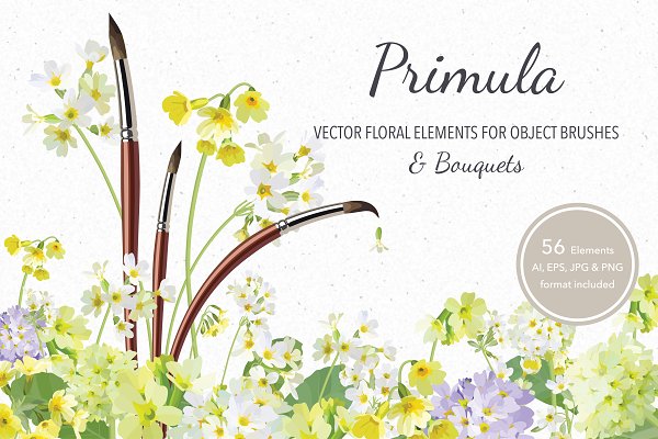 Download Vector object brushes. Primula.