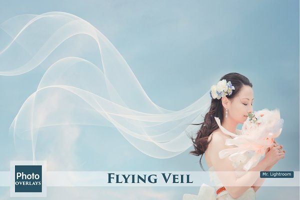 Download Flying Veil Overlays
