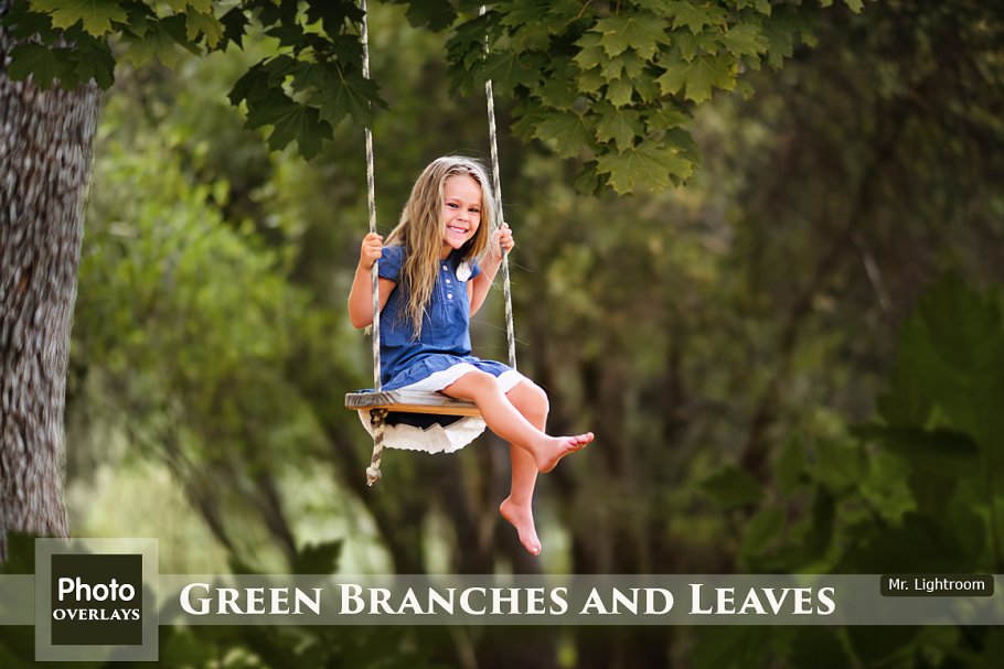 Download Green Branches and Leaves Overlays