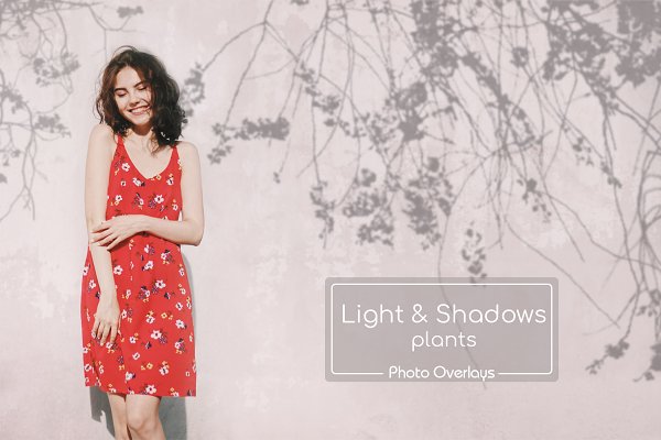 Download 40 Plant Shadows Overlays