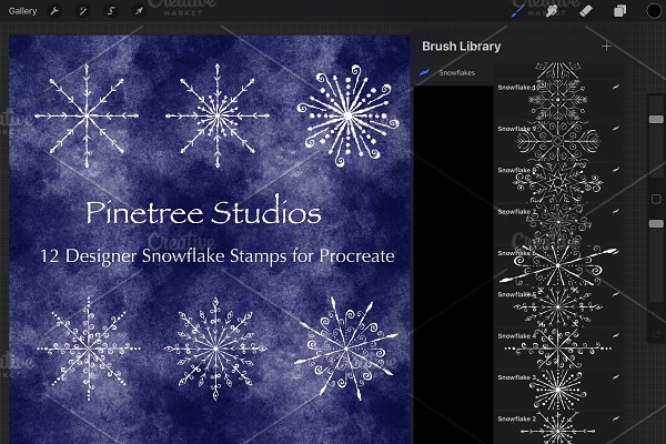Download Procreate 12 Snowflake Stamps