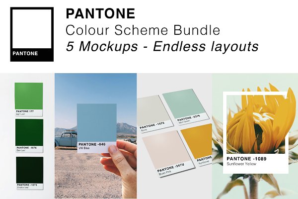 Download Pantone Colour Mockup Bundle