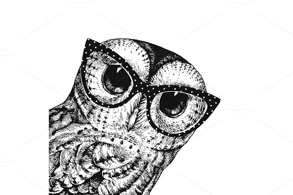 Download Cute Owl Wearing Glasses