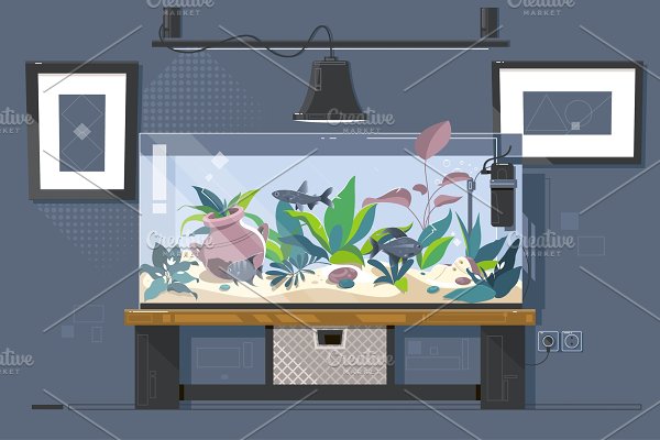Download Aquarium. Natural aquarium with fish