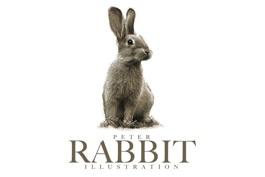 Download Peter Rabbit Illustration