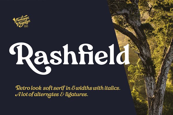 Download Rashfield Family • 60% OFF