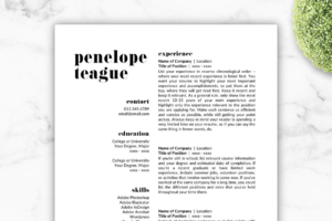 Download Creative Resume Template - Penelope