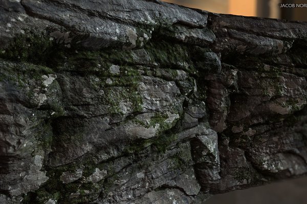 Download Textures - Rock with Moss