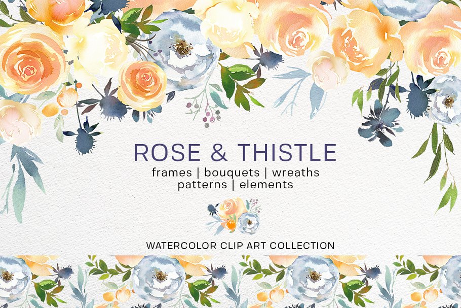 Download Rose & Thistle Watercolor Florals