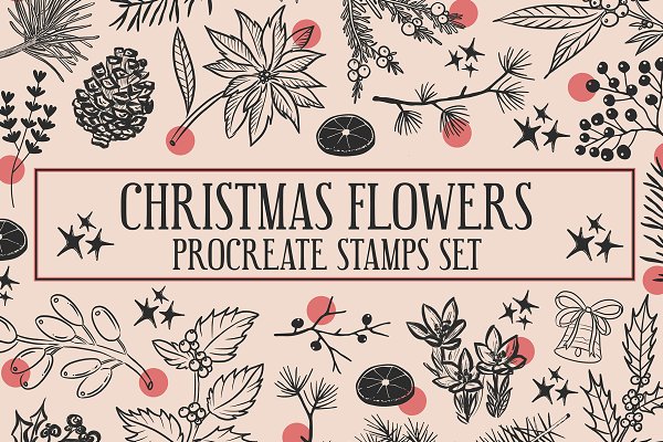 Download Winterflower brushes stamp Procreate