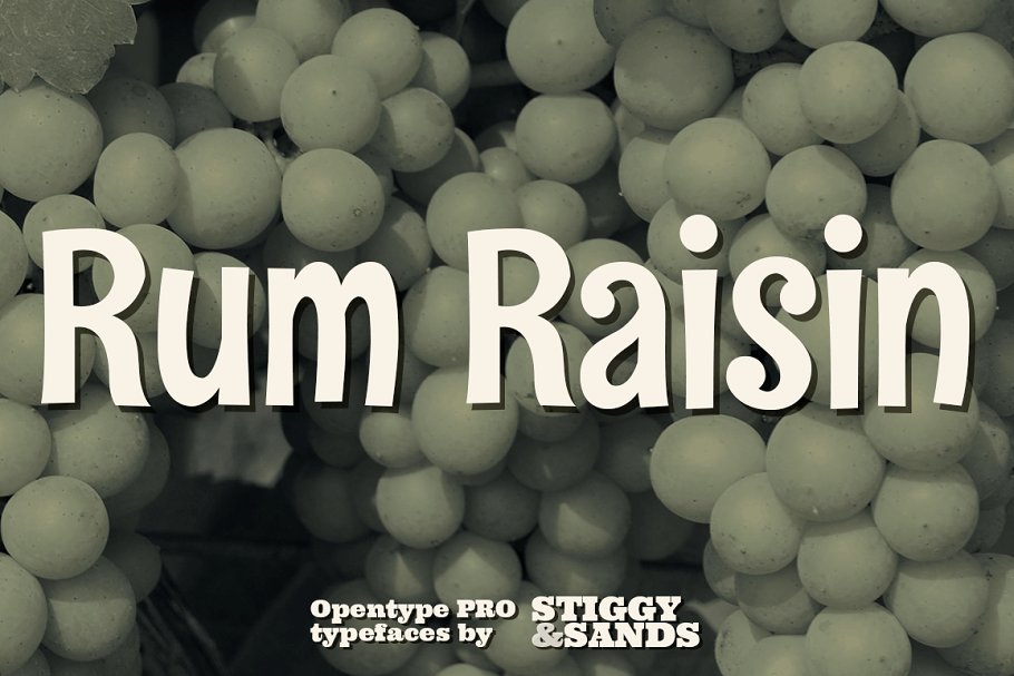 Download Rum Raisin Pro