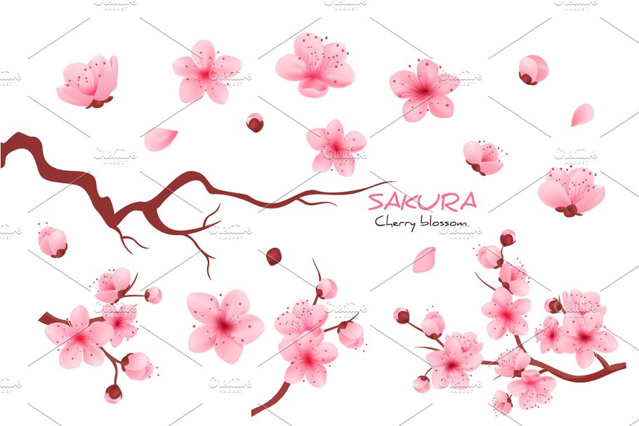 Download Realistic sakura