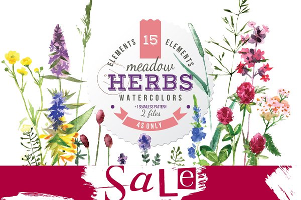 Download Watercolor herbs and flowers