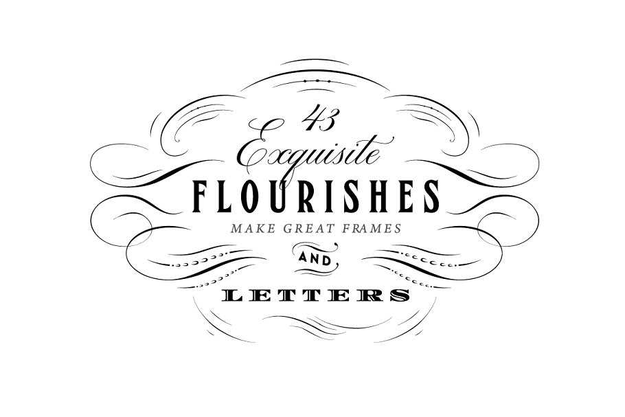 Download 43 Calligraphic Flourishes Bundle