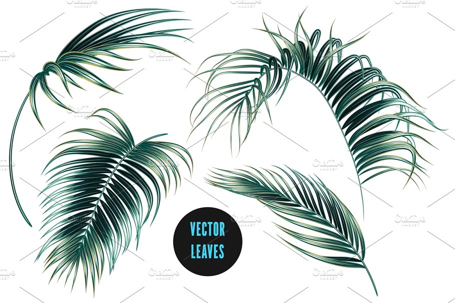 Download Tropical palm leaves illustrations