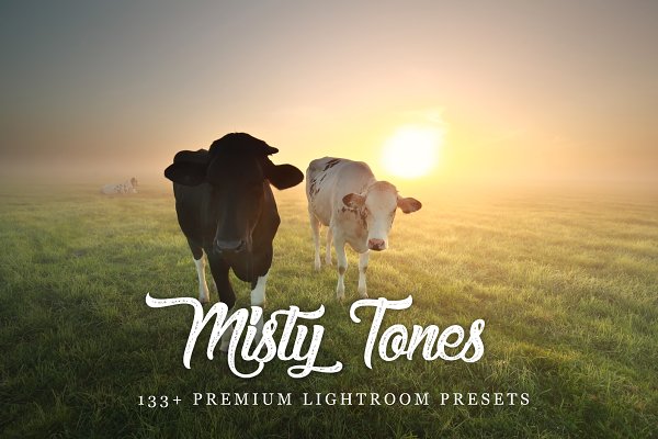 Download 133+ Misty Tones Lightroom Presets