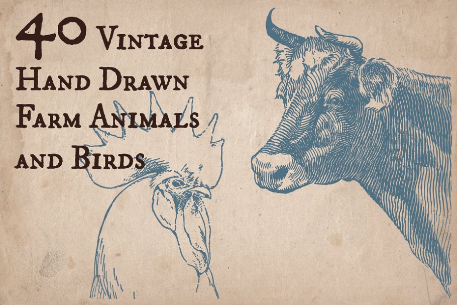 Download 40 Vintage Farm Animals and Birds