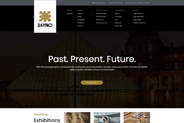 Download Davinci - Museum WordPress Theme