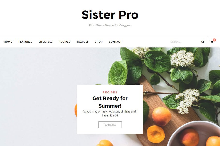 Download Sister - eCommerce Theme